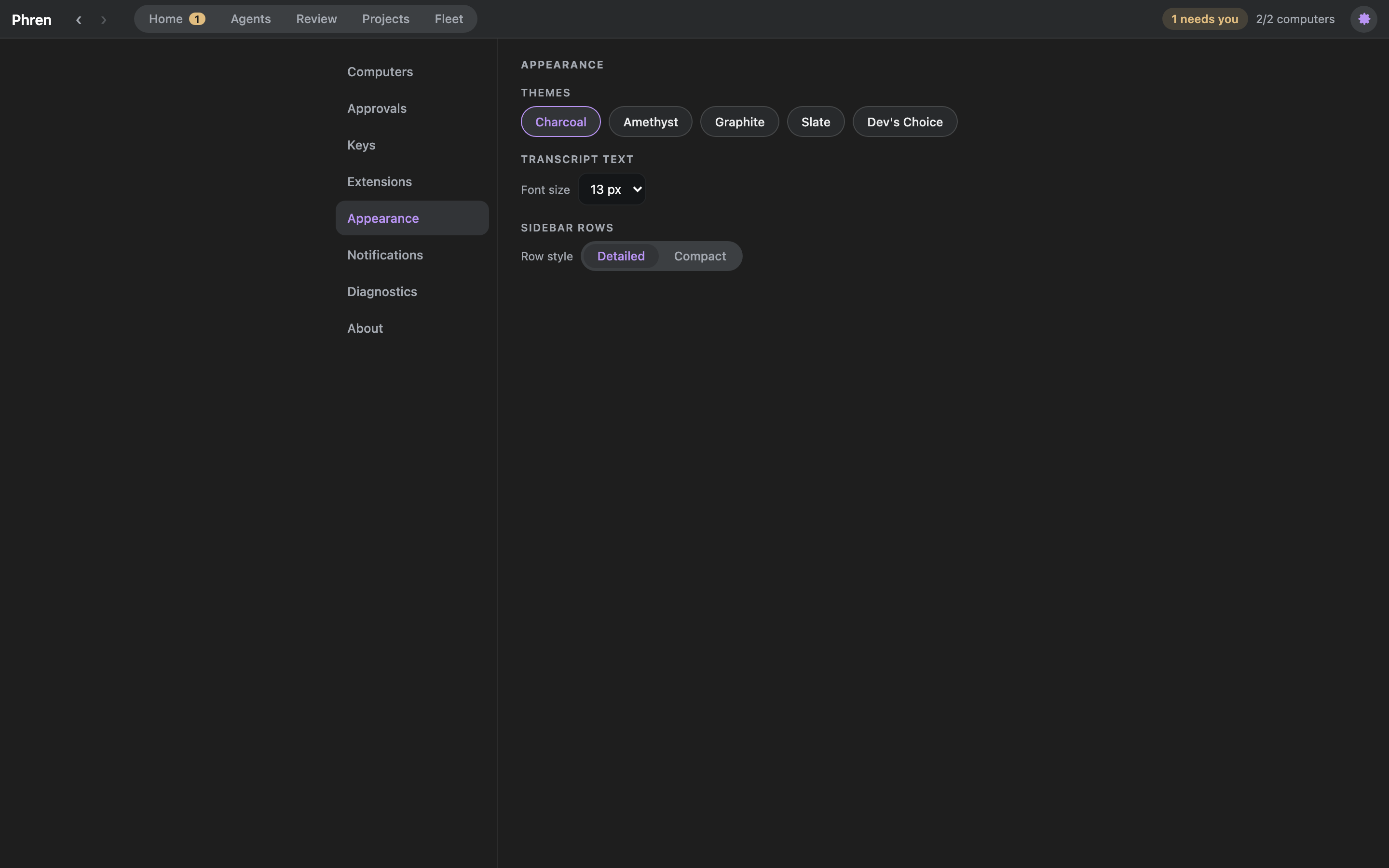 Settings Appearance page with theme choices